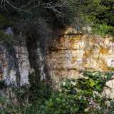 L�origine della cavit� � di tipo erosivo e si struttura su due fasce geologiche distinte: il calcare di Bari e la calcarenite di Gravina, i cui blocchi sono visibili in alcuni punti dove la fitta vegetazione lascia spazio alla roccia